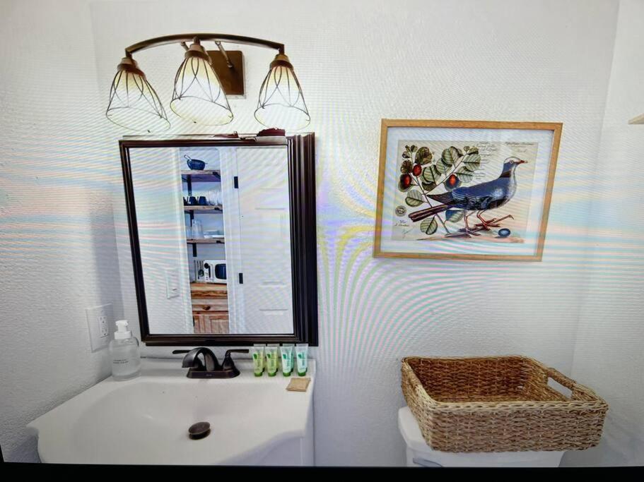 New Modern Boho Apt- Close To Yosemite Oakhurst Εξωτερικό φωτογραφία